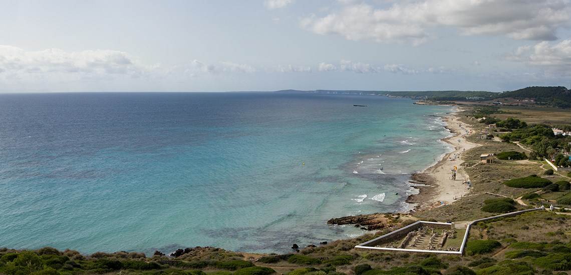 Barreras de posidonia en Son Bou Menorca